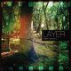 Mark Gamon - Layer